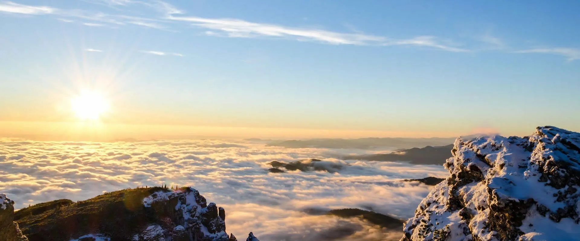 Get 24-hour support from our online service.